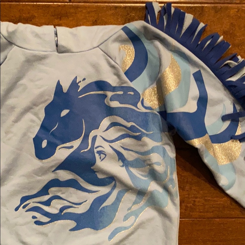 NWT Disney Frozen 2 Hoodie